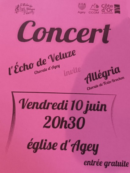 concertAgeyA.jpg